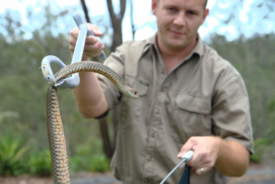societe-de-dereptilisation-a-marrakech