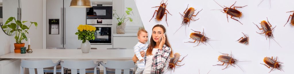 Pourquoi-les-cafards-envahissent-ils-votre-maison.jpg