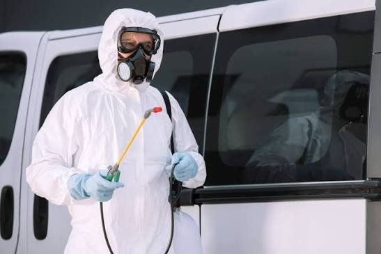 Infestation-de-Blattes-et-Rongeurs-à-Marrakech.jpeg